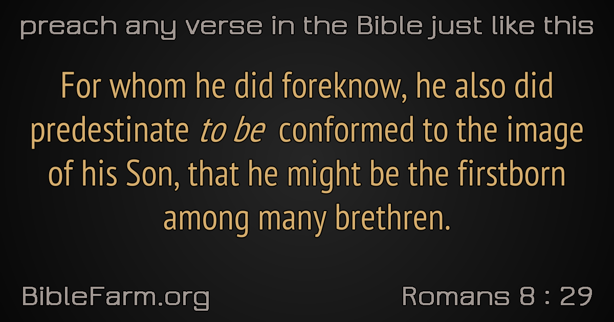 Romans-8-29